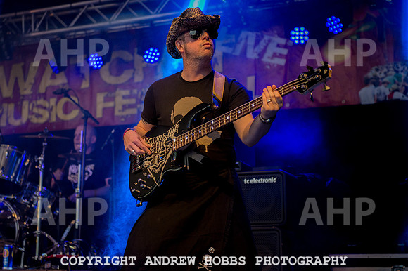Watchet Festival 2015-5760