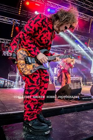 Watchet Festival 2015-5777