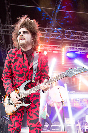 Watchet Festival 2015-5780