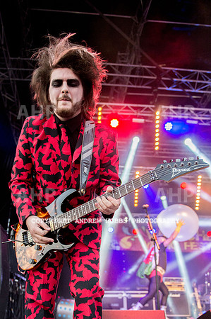 Watchet Festival 2015-5782