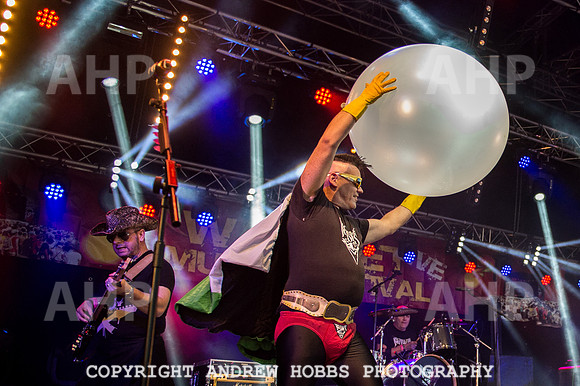 Watchet Festival 2015-5788