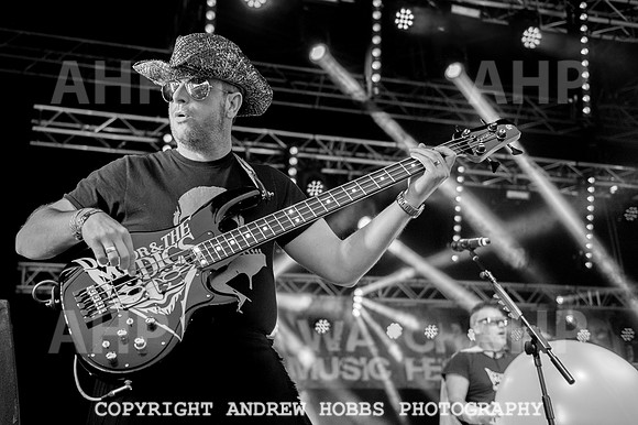 Watchet Festival 2015-5799