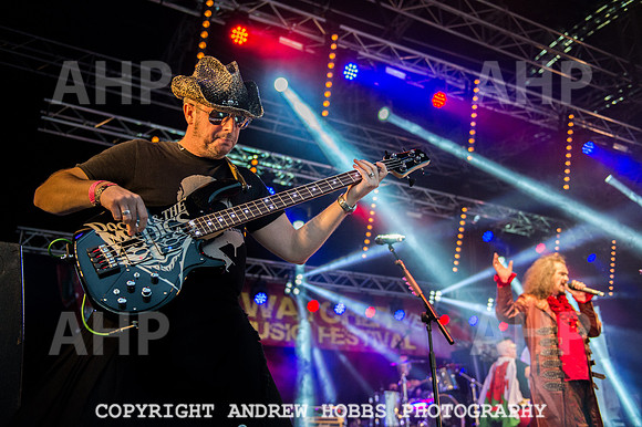 Watchet Festival 2015-5808