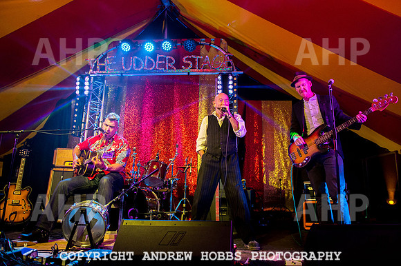 Watchet Festival 2015-5861