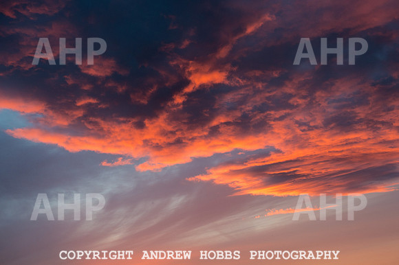 Watchet Festival 2015-5877
