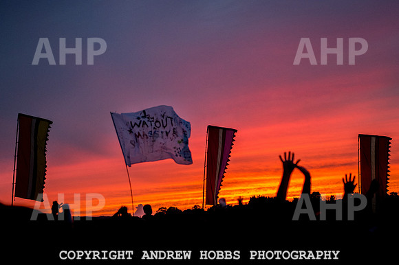 Watchet Festival 2015-5952