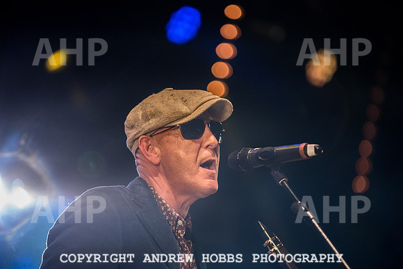 Watchet Festival 2015-2134