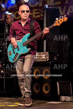 Watchet Festival 2015-2153