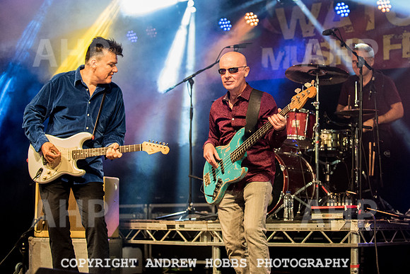 Watchet Festival 2015-2155