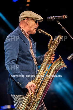 Watchet Festival 2015-2190