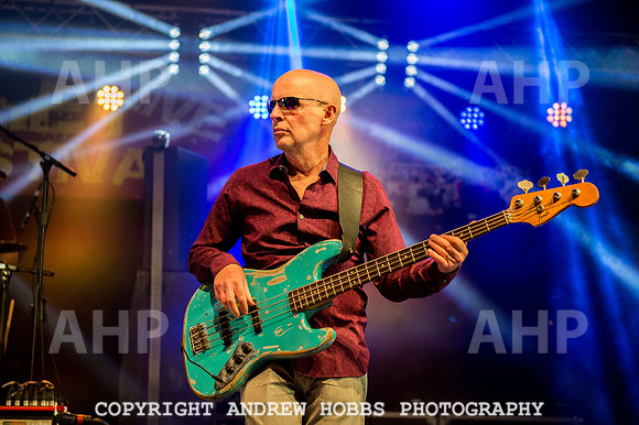 Watchet Festival 2015-5988