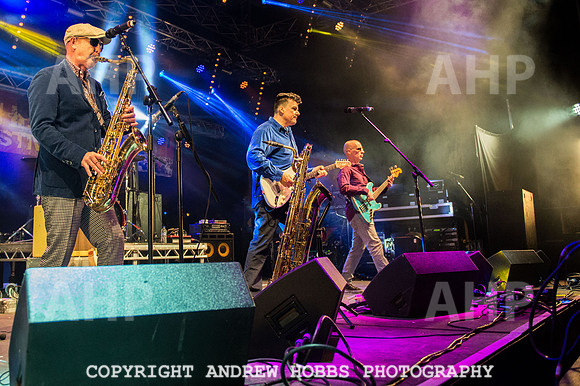 Watchet Festival 2015-6005