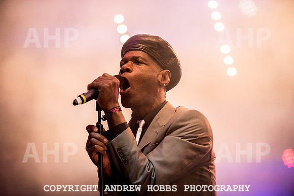 Watchet Festival 2015-2239