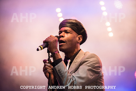 Watchet Festival 2015-2240