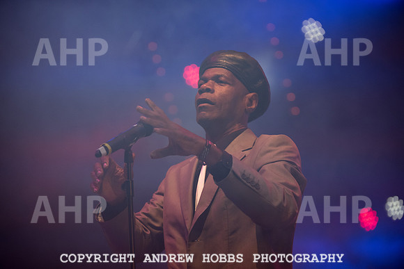 Watchet Festival 2015-2242