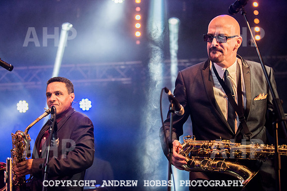 Watchet Festival 2015-2249