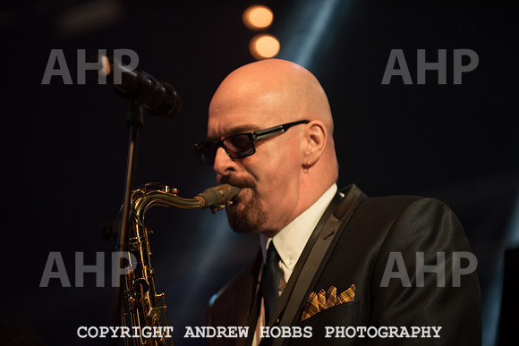 Watchet Festival 2015-2254