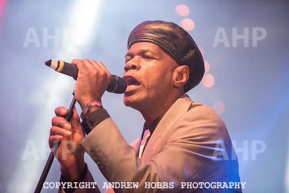 Watchet Festival 2015-2262