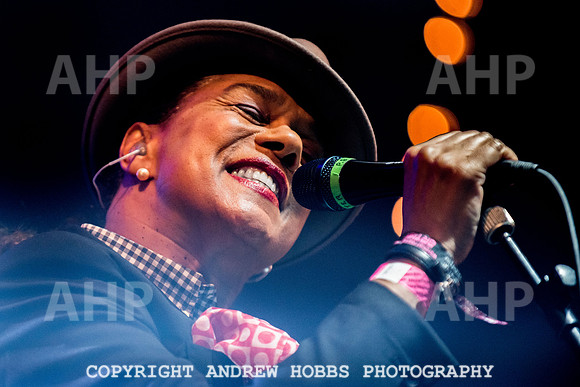 Watchet Festival 2015-2331