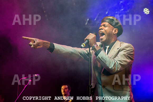 Watchet Festival 2015-6048