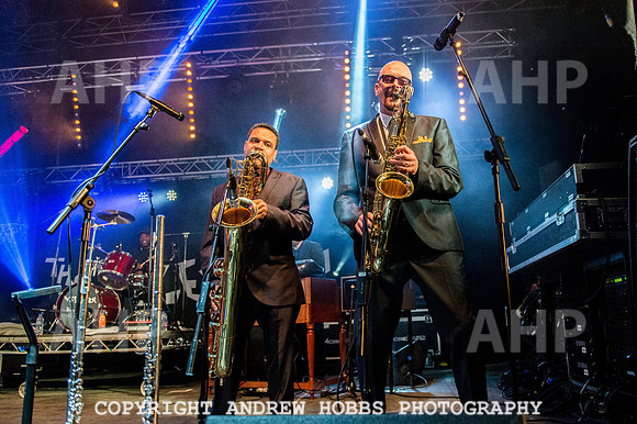 Watchet Festival 2015-6049