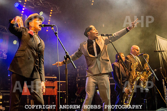 Watchet Festival 2015-6131