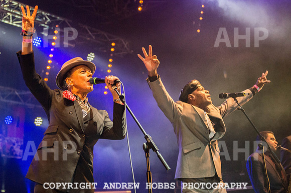 Watchet Festival 2015-6140