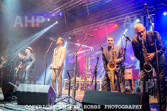 Watchet Festival 2015-6187