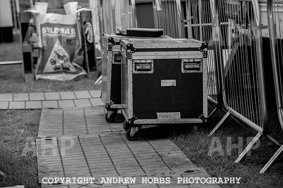 Watchet Festival 2015-2413