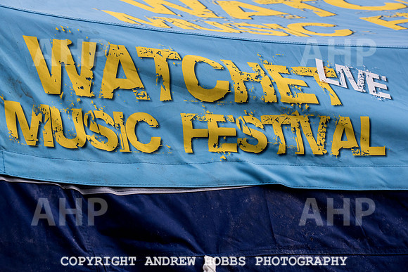 Watchet Festival 2015-2414