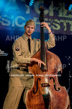 Watchet Festival 2015-3380