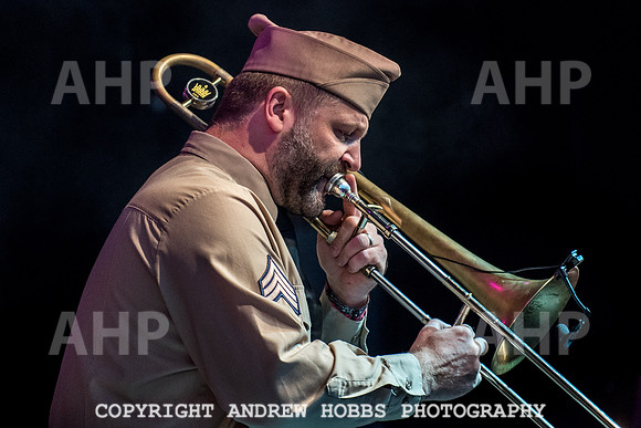 Watchet Festival 2015-3429