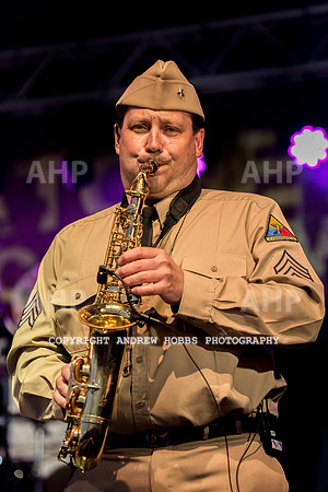 Watchet Festival 2015-3498
