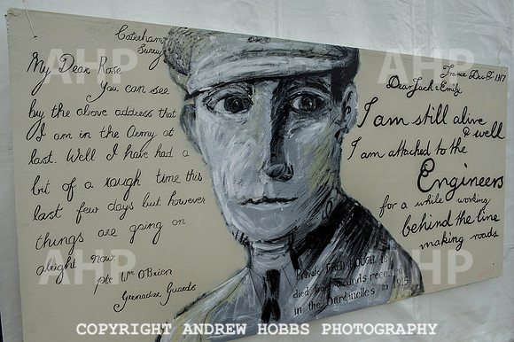 Taunton Flower Show 2014 026