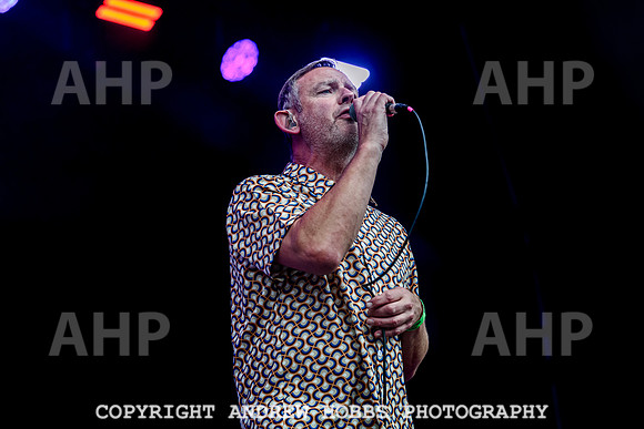 Inspiral Carpets - Beautifdays 2024-9336