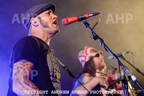 Ferocious Dog - Chagstock Music Festival 2022-4781