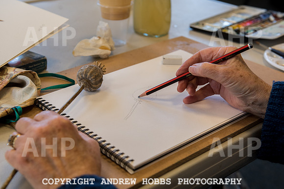Art class Wellington-5137