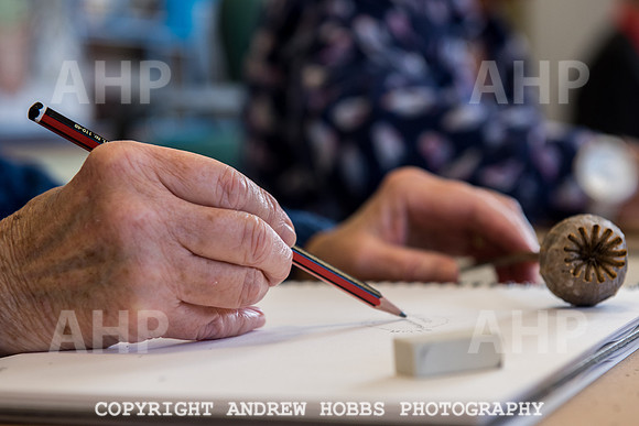 Art class Wellington-5140
