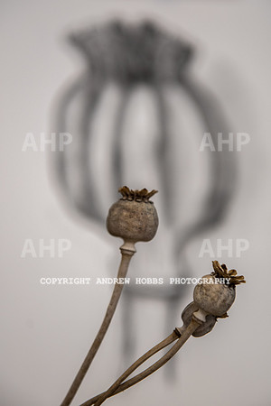 Art class-4979