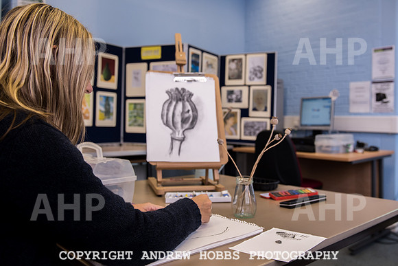Art class-5029