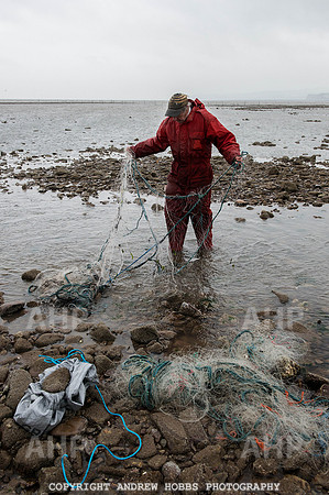 Stake-net Fishing Watchet 2014 004