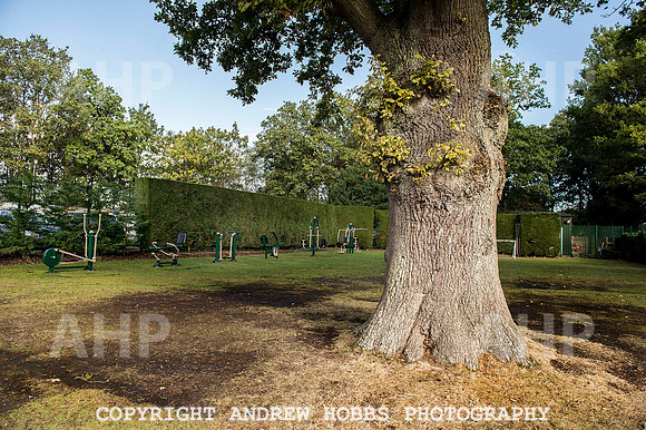 Tadley Court School 001