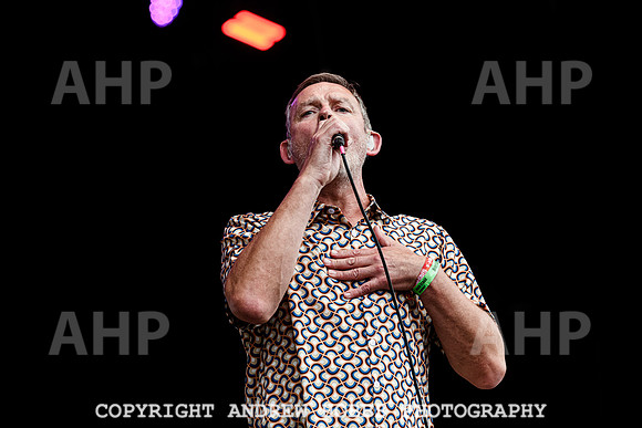 Inspiral Carpets - Beautifdays 2024-9199