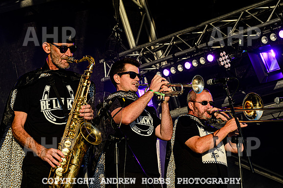 Death of Guitar Pop - Watchet Music Festival 2022-3284