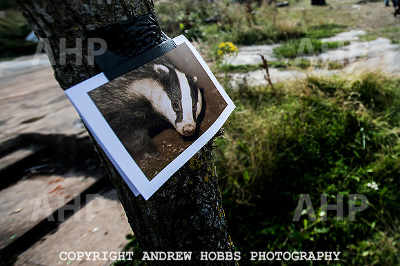 First Camp Badger_9046