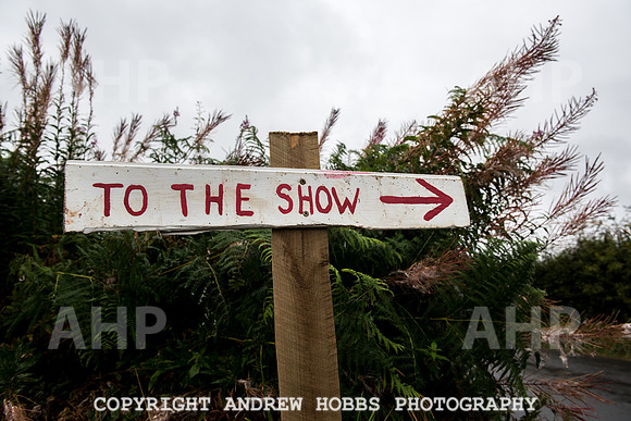 Hawkridge Revel and Gymkhana 2015-3883