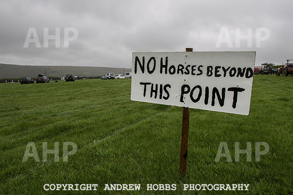 Hawkridge Revel and Gymkhana 2015-3887