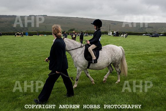 Hawkridge Revel and Gymkhana 2015-3891