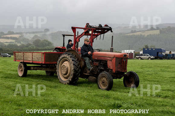 Hawkridge Revel and Gymkhana 2015-3886