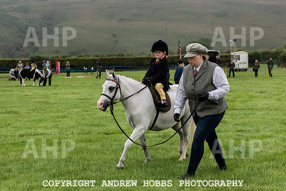 Hawkridge Revel and Gymkhana 2015-3892